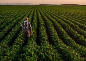 Agriculture Market Update: Q3 2025 in Review